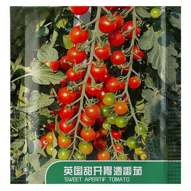 甜开胃酒 - 红色小番茄 - 杂交品种 photo 1