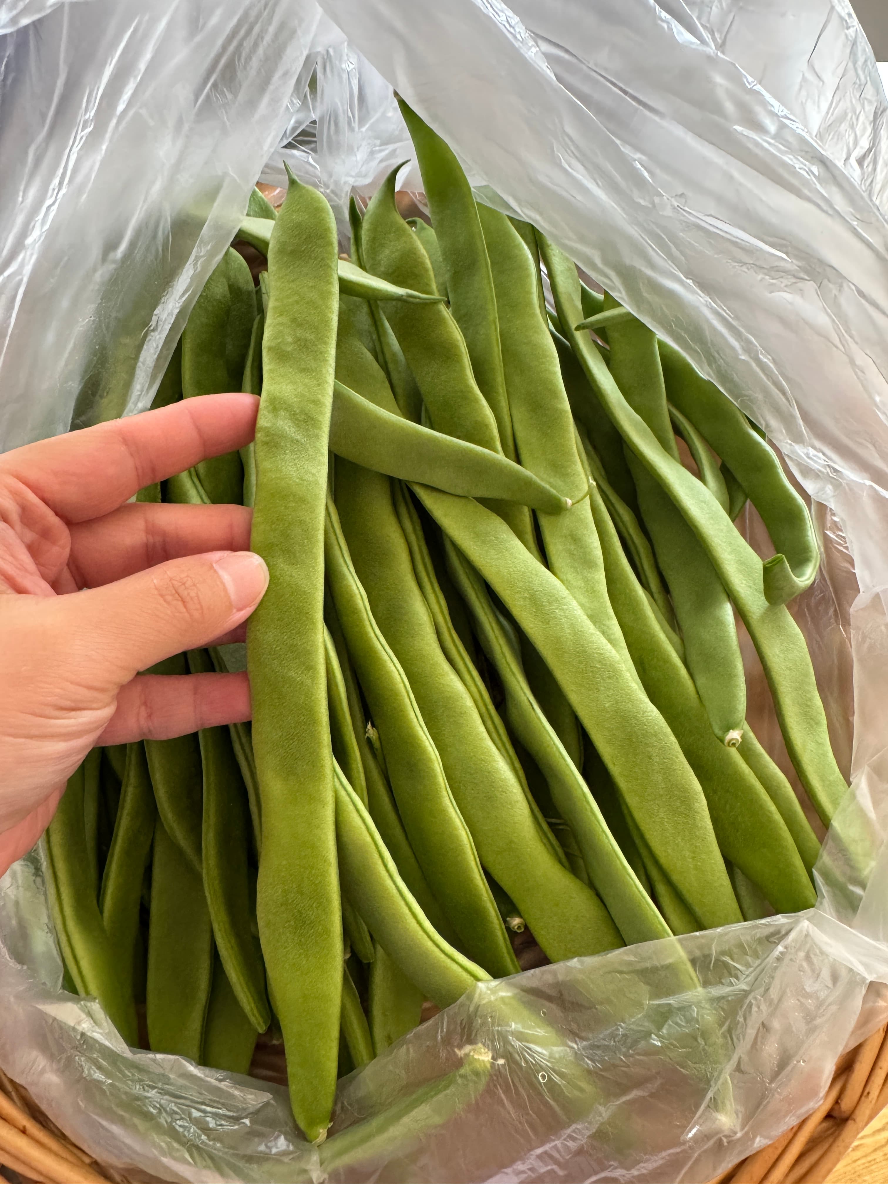 宽扁四季豆(芸豆)600g photo 1