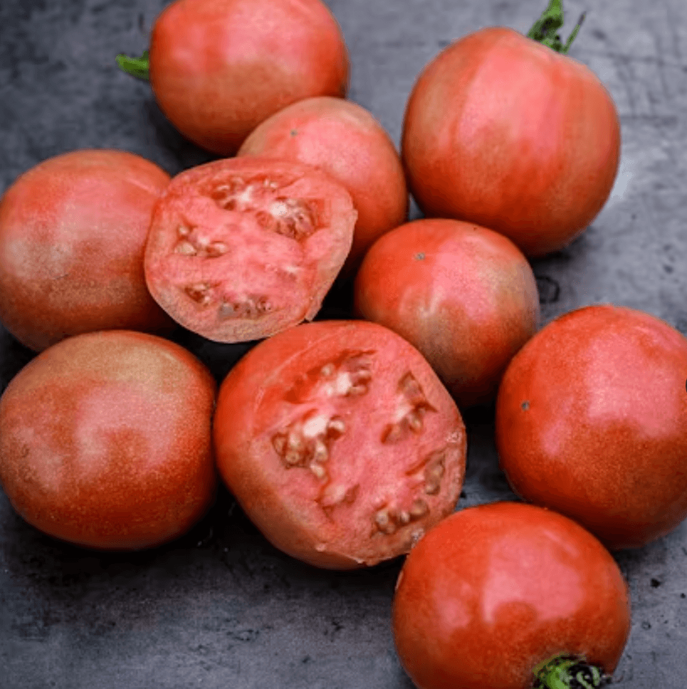 ozark pink - 红色大番茄 - 传家宝品种 (heirloom) photo 1